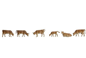 Mountain Cattleyg~[ebNE154011zuS͌^ HOQ[Wv