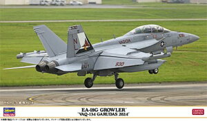 EA-18G OEgVAQ-134 K[_X 2024h