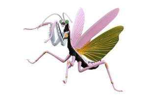 自由研究-232 自由研究シリーズNo.232 エヴァンゲリオン編 オオカマキリ 8号機仕様