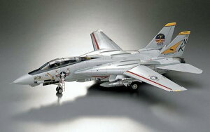 PT46 F-14A gLbg