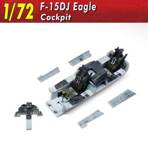 1/72 F-15DJ RNsbg