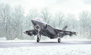 1/48 F-35A ���C�g�j���OII �r�[�X�g���[�h(���{��Ζ�⑫�������t��)