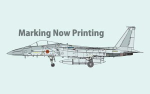 1/72�q�󎩉q���@F-15J �퓬�@�gJ-MSIP�h�i���p�C���b�g�t�j �v�����f��