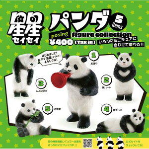 �����p���_�|�[�W���O�t�B�M���A�R���N�V���� BOX�� �y1BOX 12���z