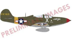 1/48 P-39N GARu vtBpbN