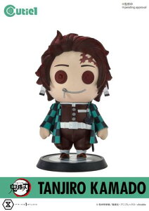 CT1-21071 L[eB1 Sł̐n }YY