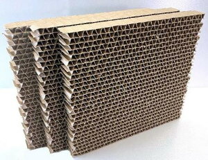 BELO003 r[o[IWi njJtB^[ 3