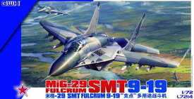 MiG-29 SMT 9.19
