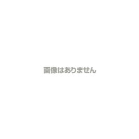 (仮)装動 仮面ライダーガッチャード→4← 1BOX12個入り