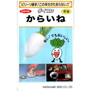 炢ˑ卪ihj