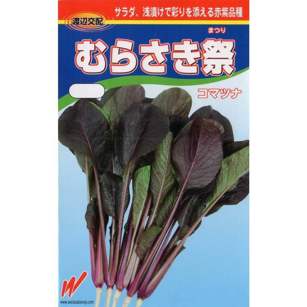 葉軸 葉脈が赤紫色の小松菜 贅沢屋の 83％以上節約 むらさき祭小松菜