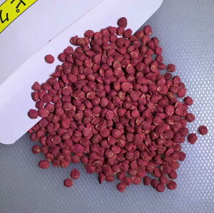 �s�N�V�[�@�@��