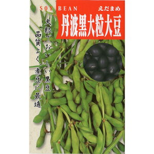 種 丹波黒の人気商品 通販 価格比較 価格 Com