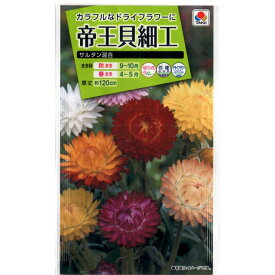 楽天市場 帝王貝細工 種の通販