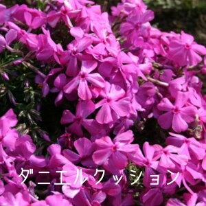 yIzō(Z)_jGNbV10p`80pZbg/ciVoUNE΂)