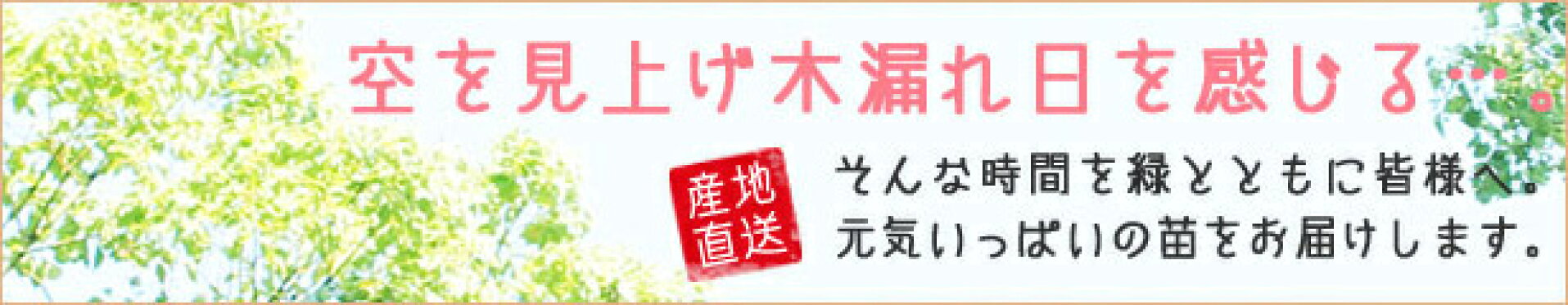 楽天イーグルス感謝祭