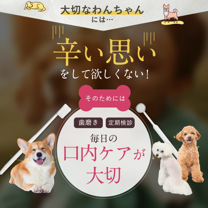 楽天市場 公式 ぺろりーぬ ふりかけ ペット 猫 犬 口臭 ペットフード 口臭ケア 歯石 無添加 天然 くさい 臭い 対策 予防 治す 防ぐ 無臭 虫歯 美健の里 送料無料 ぺろりーぬ 美容と健康サプリ工房 みどり生活