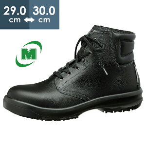 ~hS ϊSC nCObvZteBEҏC HGS520 ubN  29.0`30.0