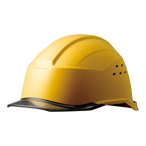 ~hS wbg SC-21 P CL V RA3 KP II 7J[ ƌ荇ii y򗈁E/ėیpz