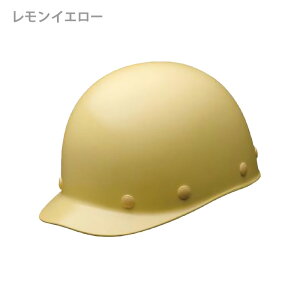 ~hS wbg SC-S1 RA 7J[ ƌ荇ii y򗈁Epz