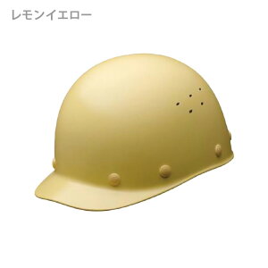 ~hS wbg SC-S1 V RA KP 7J[ ƌ荇ii y򗈁E/ėیpz