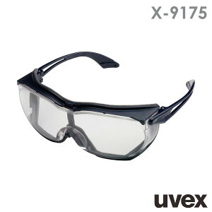 ~hS ی߂ X-9175 uvex skyguard