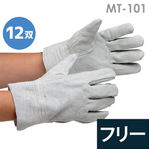 ~hS Ɨp v MT-101 12o