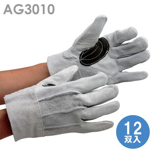 쏤 v AG3010 v wD Aet 12o