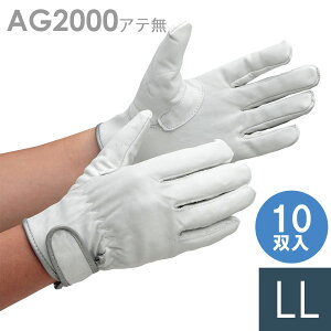 쏤 v AG2000 X[p[XL[ Ae LL 10o