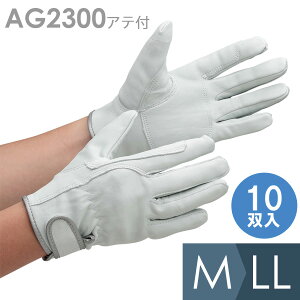 쏤 v AG2300 X[p[XL[ Aet M`LL 10o