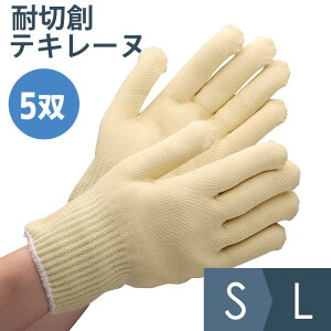 Ɨp ϐؑn eL[k 5o S`L