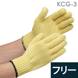 ~hS Ɨp ϐؑn Pu[(R) KCR KCG-3 t[