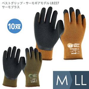 Ɨp xXgObvET[MAf LB227T[vX10o }X^[h I[u M`LL