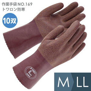 aR[|[V Ɨp NoD169 gh M`LL 10o