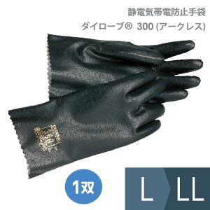 _CS ÓdCѓdh~ _C[u(R) 300 (A[NX) L`LL