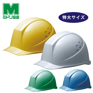 ~hS wbg SC-11 P V LL T RA 4J[ ƌ荇ii y򗈁Ez