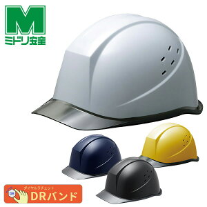 ~hS wbg SC-11 P CL V DR  4J[ ƌ荇ii y򗈁E/ėیpz