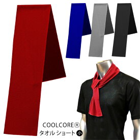 布施商店 カヴァーワーク COVER WORK 熱中対策用品 COOLCORE(R) タオル 4カラー 小