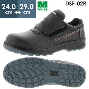 ~hS cƌC DSF-02R ubN 24.0`29.0cm