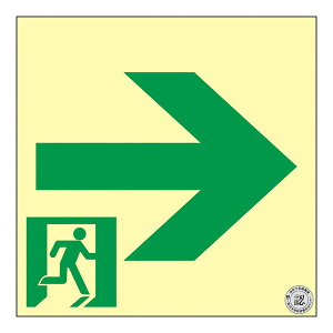 日本緑十字社 中輝度蓄光式通路誘導標識 TSN961 120mm角 068021