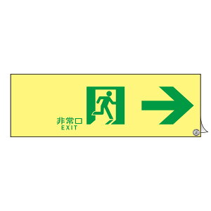 {Ώ\ Px~UXebJ[W ASN901  377901