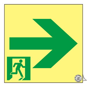 日本緑十字社 高輝度蓄光式避難誘導ステッカー標識 ASN951 150mm角 377951