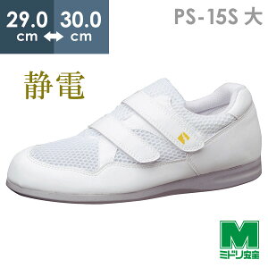 ~hS jp ÓdƌC GpX PS-15S  zCg 29.0`30.0