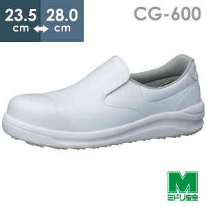 ~hS Ep RiObv cƌC CG-600 zCg 23.5`28.0