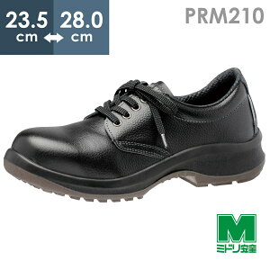 ~hS SC v~A nCExf PRM210 ubN 4E 23.5`28.0