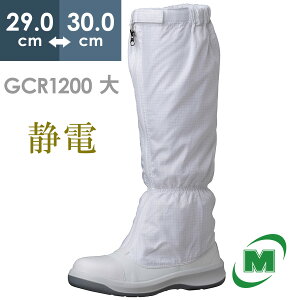 ~hS ÓdSC GCR1200 tLbv(CAP) t[h zCg  29.0`30.0