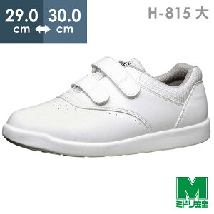 ~hS yʑϊƌC nCObv H-815 zCg  29.0`30.0