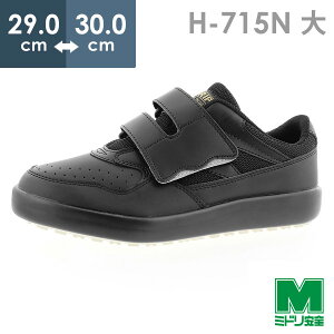 ~hS ϊyʍƌC nCObv H-715N ubN  29.0`30.0
