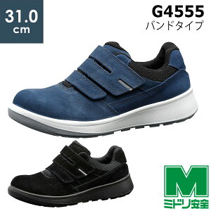 ~hS SC G4555 (oh^Cv) u[ ubN TCY 31.0