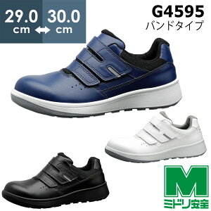 ~hS SC G4595 (oh^Cv) zCg ubN lCr[ TCY 29.0`30.0